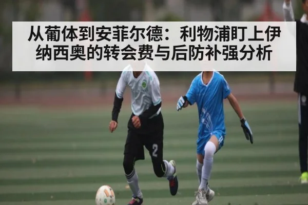 从葡体到安菲尔德：利物浦盯上伊纳西奥的转会费与后防补强分析